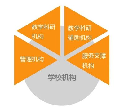 高校“瘦身”激活力 减机构、减干部、减管理人员的改革与招生辅助服务新路径